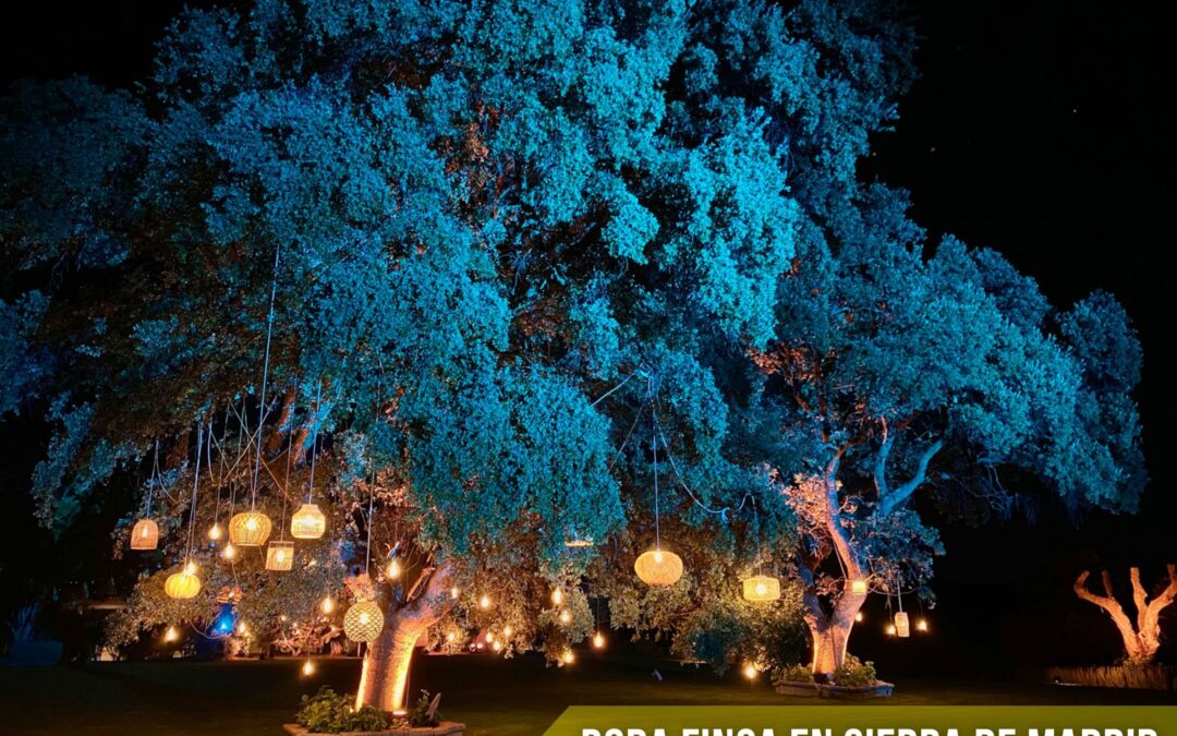 BODA FINCA EN SIERRA DE MADRID